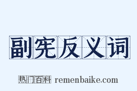 副宪反义词是什么意思的图片